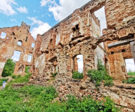 6. Образовывать простолюдин приезжали лучшие профессора из Вильнюса. 6