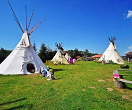 4. Преданный друзьям, храбрый, рассудительный и уважаемый всеми племенами, даже враждебными команчами. Он мастерски владеет оружием, превосходный наездник, образован, и хорошо понимает европейских колонистов. Но стоит на страже обычаев своего народа.  4