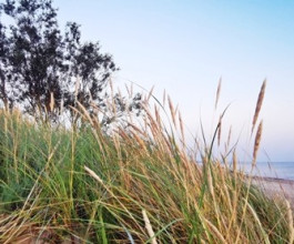 6. Сегодня приграничные латвийские дюны утыканы табличками «Частная собственность» по-латышски и по-литовски, а прогуливающиеся по побережью люди приветливо здороваются друг с другом исключительно по-литовски.  5