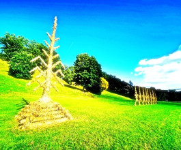 5.	В Литве не забывают старинные языческие обычаи.  5