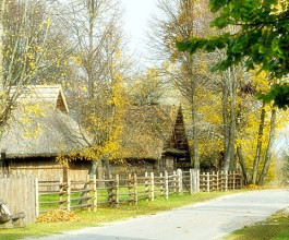 5.	В музее продумана и активная часть культурного отдыха: здесь можно попробовать самостоятельно сделать глиняный горшок, узнать секреты древних ювелиров или освоить навыки ткачества.  5