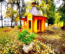 4. Жёлтый бювет санатория «Тульпе». Это крохотное здание в форме сказочного домика открыто для всех посетителей, а построили его по распоряжению помещика Игнатия Квинты ещё в 1879 году.  4
