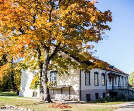 5. Тут останавливались короли, жемайтийские епископы, окрестностями управляли благородные и храбрые бароны. 5