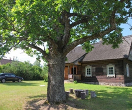 5. Деревня Марцинконис - это столица Дзукийского национального парка. В XVII веке поселение было основано лесорубами. 5