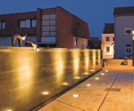 2. Легенда гласит, что основательница Мариямполе, графиня Бутлер, была заядлая кошатница, а при дворе жила целая колония усатых.  2