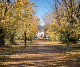 3. Бродя по парку, можно найти Звезду - это лесные тропки, расходящиеся в восьми направлениях. Одна из них приведет на берега Нямунаса, другая - к романтичным прудам, остальные - к Чертову холму и могиле Асессора, овеянной трагической историей любви. 3