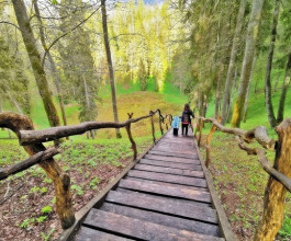 3. «Чёртова яма». Загадочное место в лесах Аукштадвариса. Буквально дыра среди леса, которая особенно жутко смотрится с высоты птичьего полёта. С этим местом связаны жуткие мифы и гипотезы учёных. 3