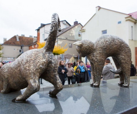 1.	Неофициальным символом города является кот.  1