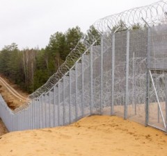 Если потребуется, Литва и физически сможет предотвращать разрушение ограждения на границе