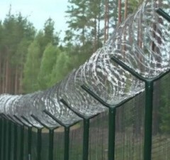 На границе Литвы с Беларусью развернули 131 нелегального мигранта