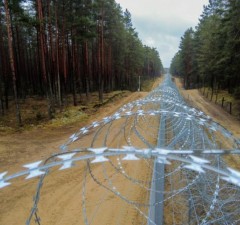На границе Литвы с Беларусью развернули 49 нелегальных мигрантов