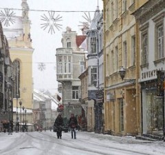 Опрос: половина жителей Литвы откладывает средства на эту зиму