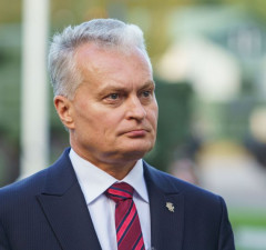 Президент Литвы о выборах и политических комитетах, сохранивших на них свое влияние