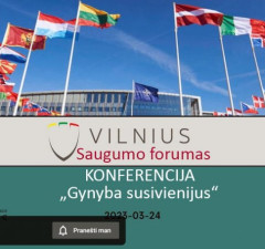 В Сейме Литвы проходит Восьмой Вильнюсский форум по безопасности