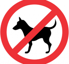 С собаками вход запрещен?