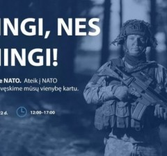 В Кельме пройдет фестиваль НАТО: участников мероприятия ждет насыщенная программа