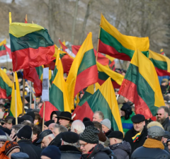 Для легализации на референдуме в Литве множественного гражданства потребуется более 1,1 млн голосов