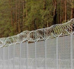 На границе Литвы с Беларусью развернули 4 нелегальных мигрантов – СОГГ Литвы