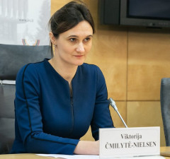 В. Чмилите-Нильсен: закон о развороте мигрантов должен выполняться в полном объеме