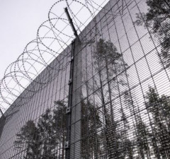 На границе Литвы с Беларусью развернули 4-х нелегальных мигрантов