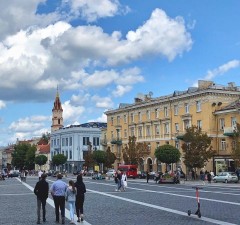 Freedom House: невзирая на вызовы, положение с демократией в Литве стабильно