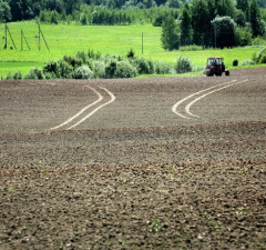 Климатологи наблюдают естественную засуху и повышенный риск лесных пожаров