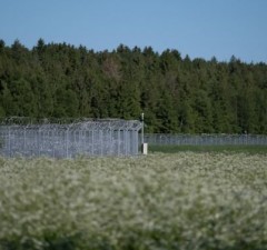 СОГГЛ: на границе Литвы  с Беларусью развернули 14 нелегальных мигрантов