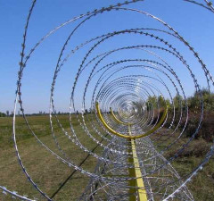 СОГГЛ: на границе Литвы с Беларусью развернули 6 нелегальных мигрантов