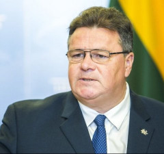 В числе будущих послов – кандидатура экс-министра иностранных дел Л. Линкявичюса