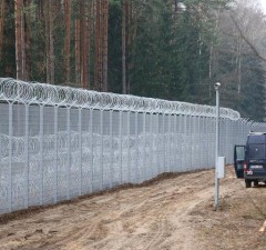 СОГГЛ: На границе Литвы с Беларусью развернули семь нелегальных мигрантов