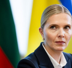 Билотайте: Россия и Беларусь не могут пользоваться Интерполом в политических целях