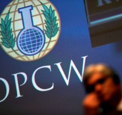 Литва, Польша и Украина получили места в важном органе ОЗХО