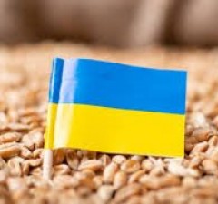 Литовские фермеры не будут блокировать украинское зерно