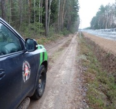 СОГГЛ: на границе Литвы с Беларусью развернули 18 нелегальных мигрантов