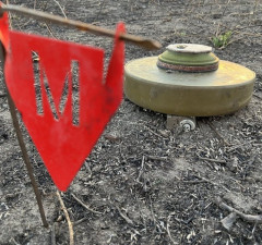 В связи с идеей выхода из Оттавской конвенции еще ожидается вердикт Финляндии - министр