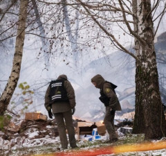 Прокуратура подозревает, что самолет DHL в Вильнюсе разбился из-за ошибки пилота