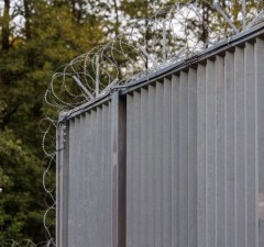 СОГГЛ: на границе Литвы с Беларусью пограничники развернули 45 нелегальных мигрантов