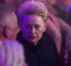 Даля Грибаускайте: предложение Путина - это попытка тянуть время
