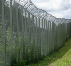 СОГГЛ: на границе Литвы с Беларусью остановлены 16 нелегальных мигрантов