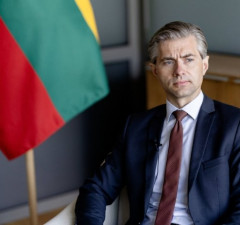 Кястутис Будрис: в Гааге нужно повторить обязательство, что Украина в будущем вступит в НАТО