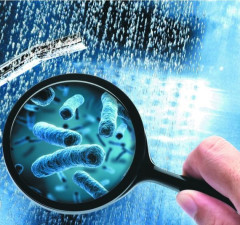 Легионеллез  – «болезнь теплого душа» и путешественников