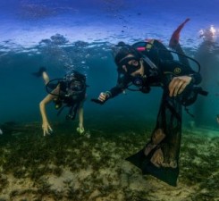Подводные фотографы запечатлели, насколько загрязнен океан