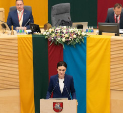 Глава Сейма Литвы: лидеры парламентов едины в поддержке членства Украины в НАТО