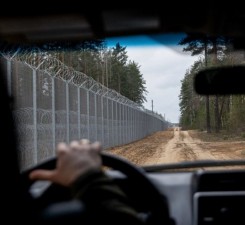 СОГГЛ: на границе Литвы с Беларусью задержаны 11 нелегальных мигрантов