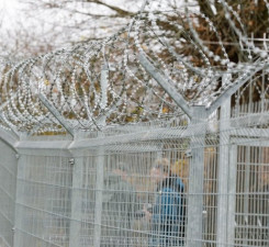 СОГГЛ: на границе Литвы с Беларусью не зафиксировано нелегальных мигрантов