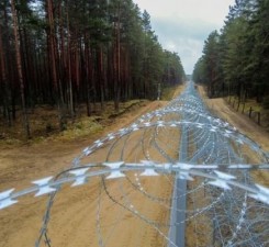 СОГГЛ: на границе Литвы с Беларусью пограничники развернули четырех нелегальных мигрантов