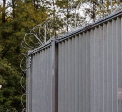 СОГГЛ: на границе Литвы с Беларусью пограничники развернули 45 нелегальных мигрантов