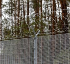 СОГГЛ: на границе Литвы с Беларусью нелегальных мигрантов не зафиксировано