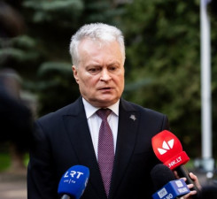 Президент Литвы: страны региона могут присоединиться к иску Литвы в Гаагу по Беларуси
