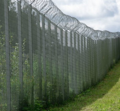 СОГГЛ: на границе Литвы с Беларусью развернули двух нелегальных мигрантов
